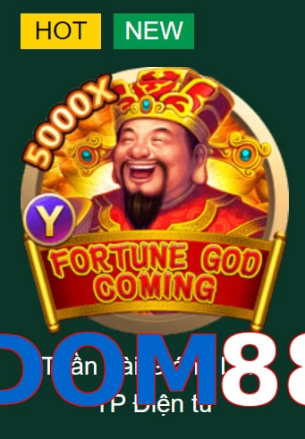 DOM88