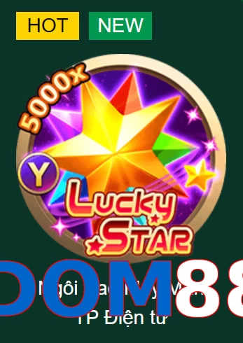 DOM88